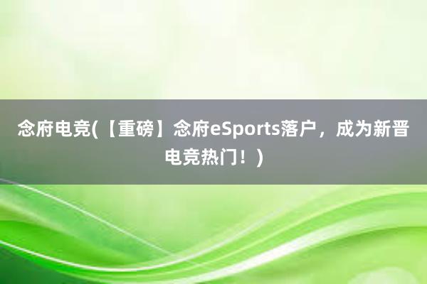 念府电竞(【重磅】念府eSports落户，成为新晋电竞热门！)